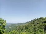 風(fēng)景
