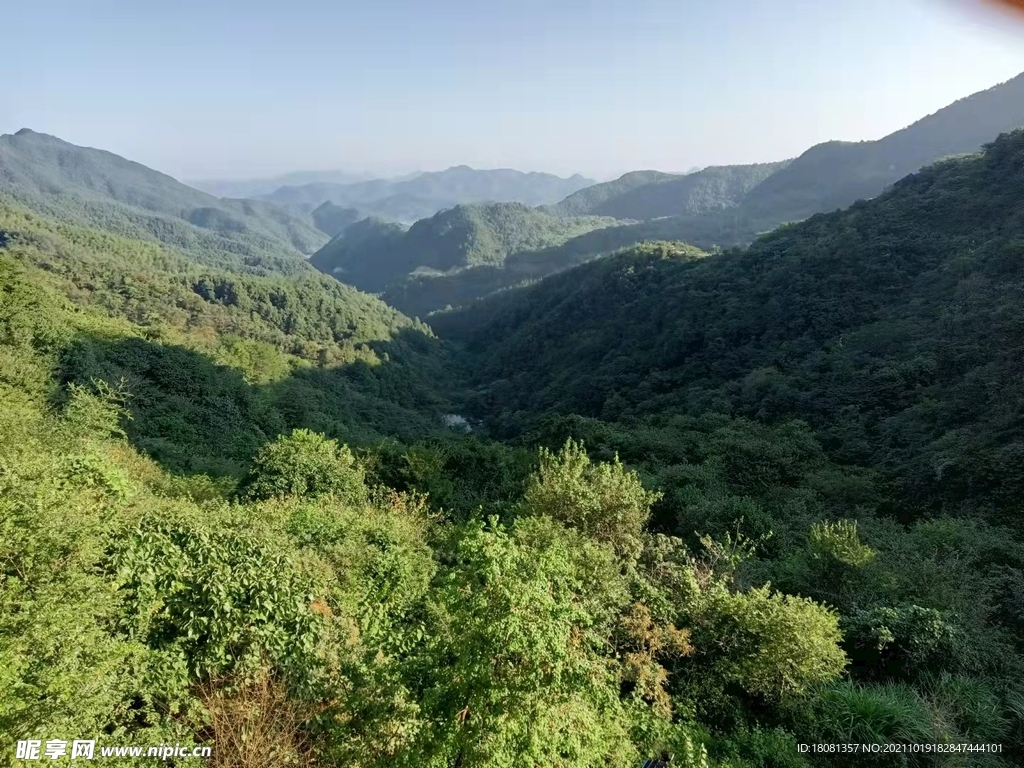山