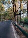 馬路風(fēng)景