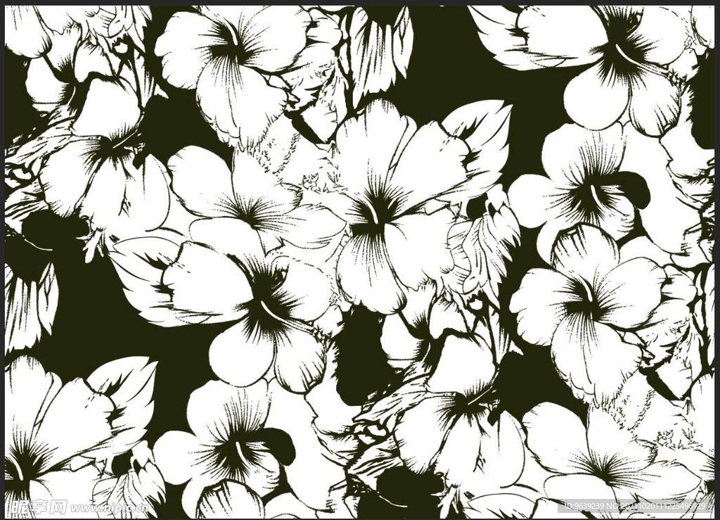 黑白花