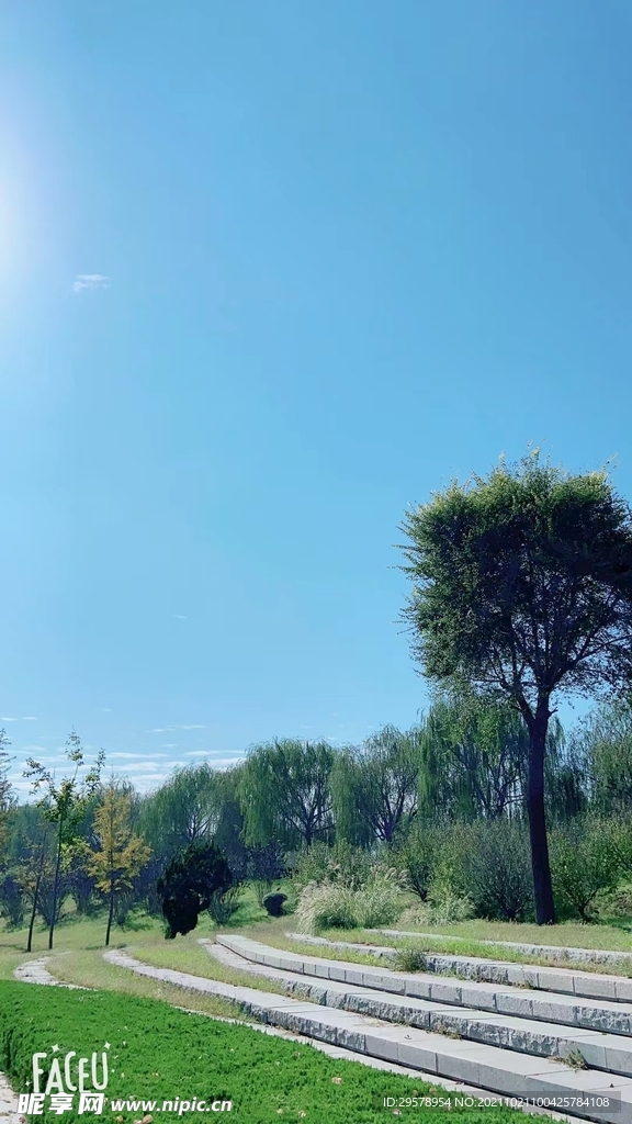 景色