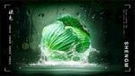 溅水波纹绿色蔬菜