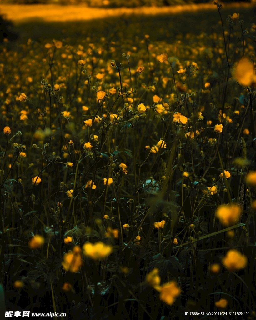繁花
