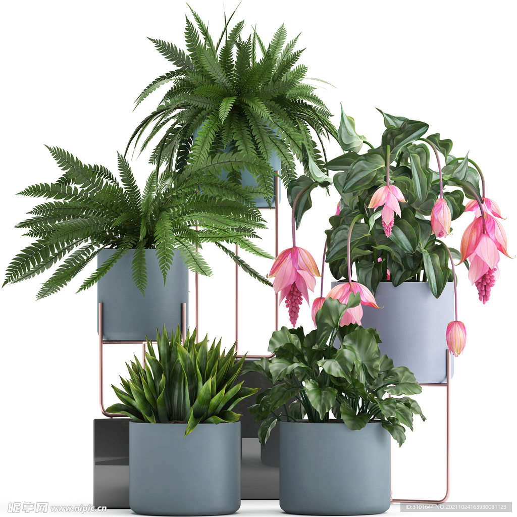 3D盆栽植物