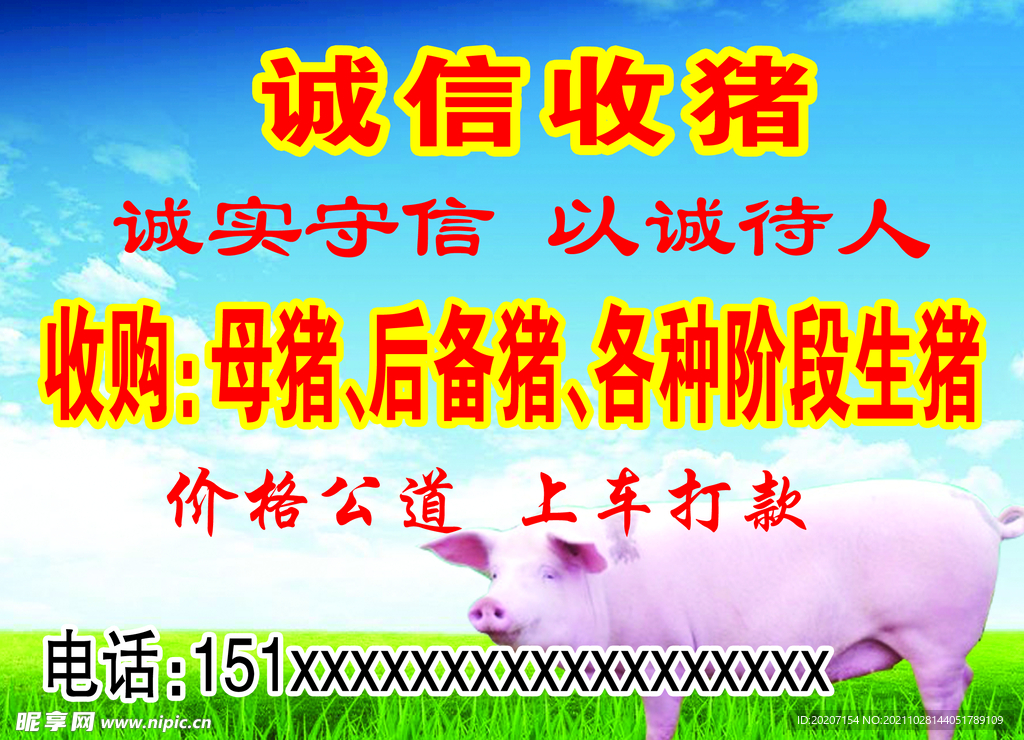 豬廣告