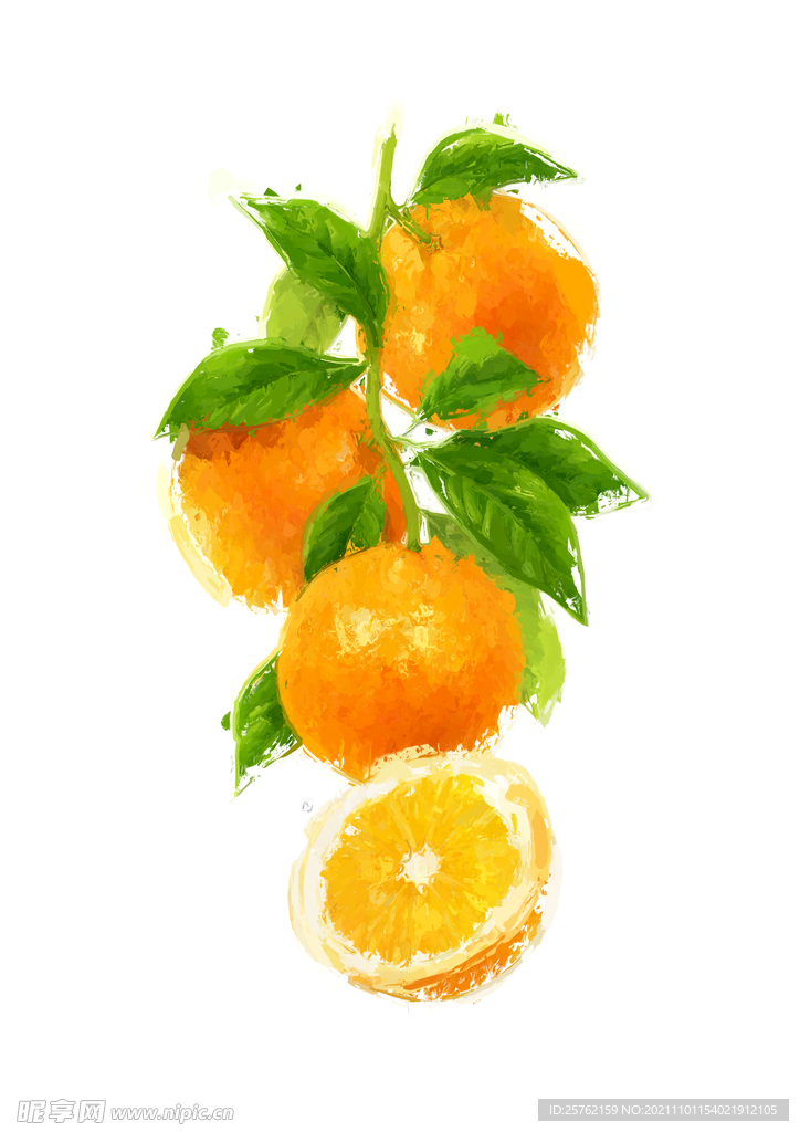 橘子油画