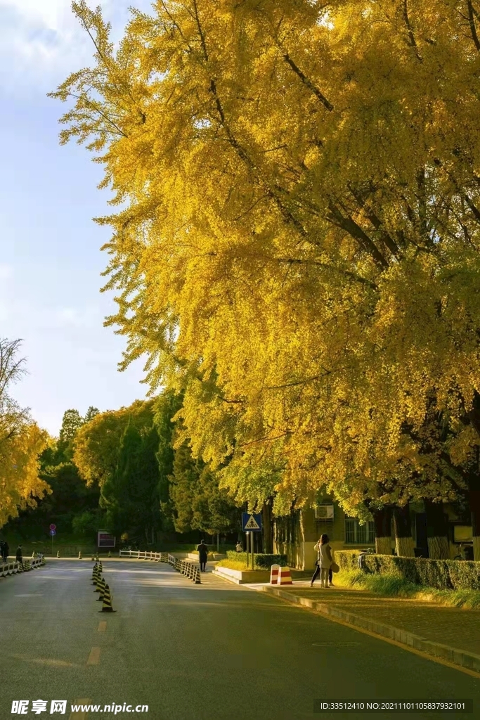 清華園的秋天