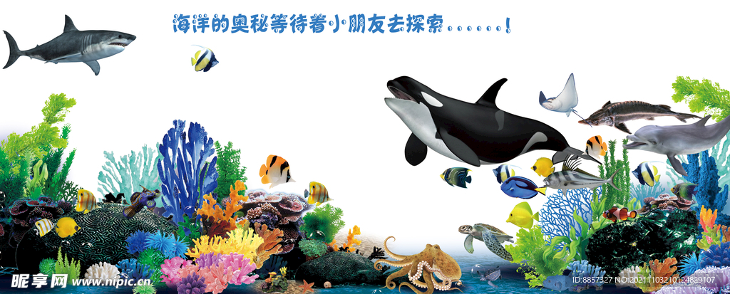 海底世界