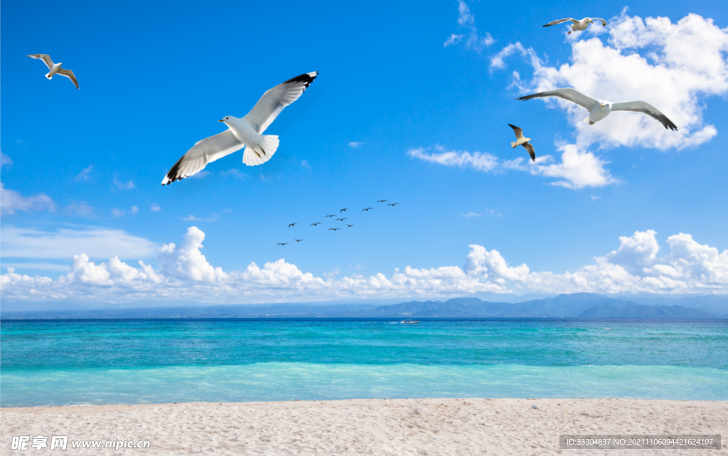 蓝天白云沙滩海鸥风景图