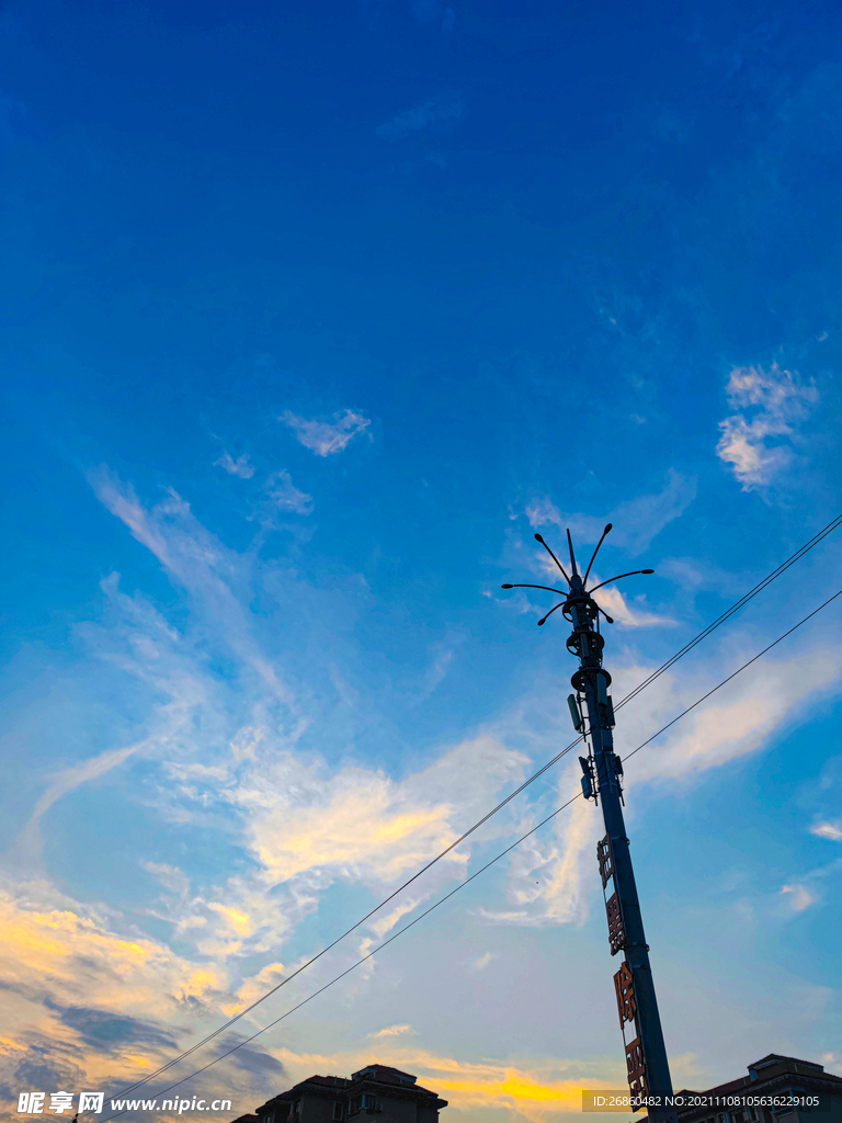 藝術攝影電纜