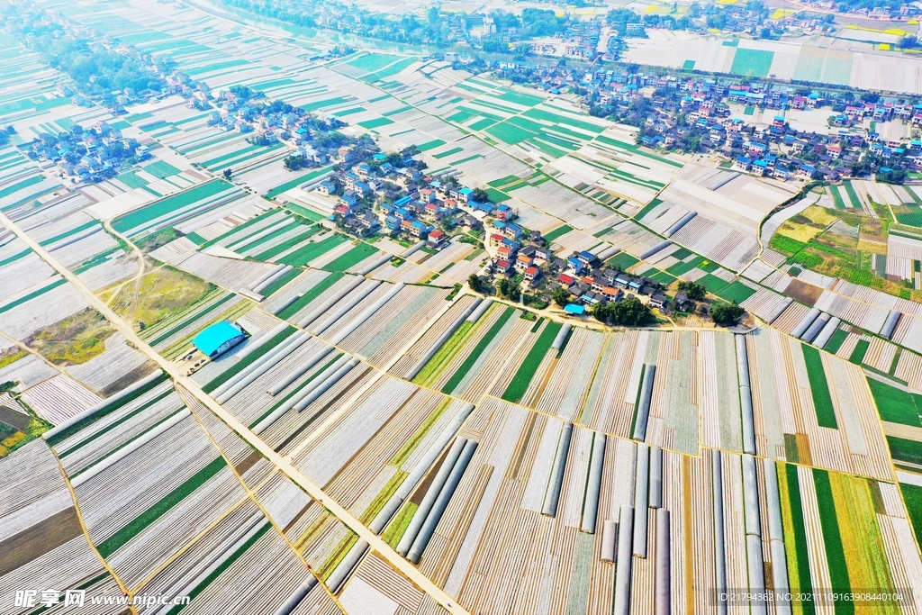 潼南蔬菜基地