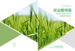 农业宣传册封面