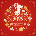 2022 虎年新春底纹新年