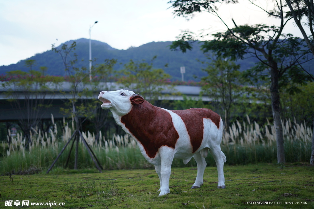 西门塔尔牛雕塑by泉州江之南