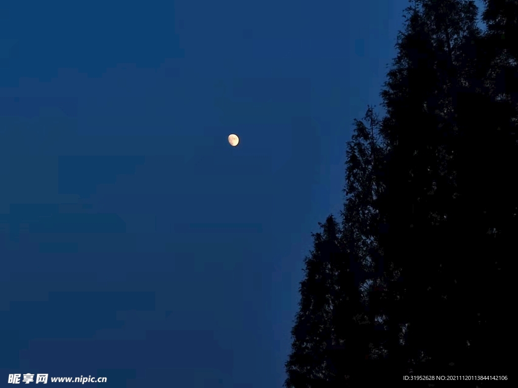 月夜