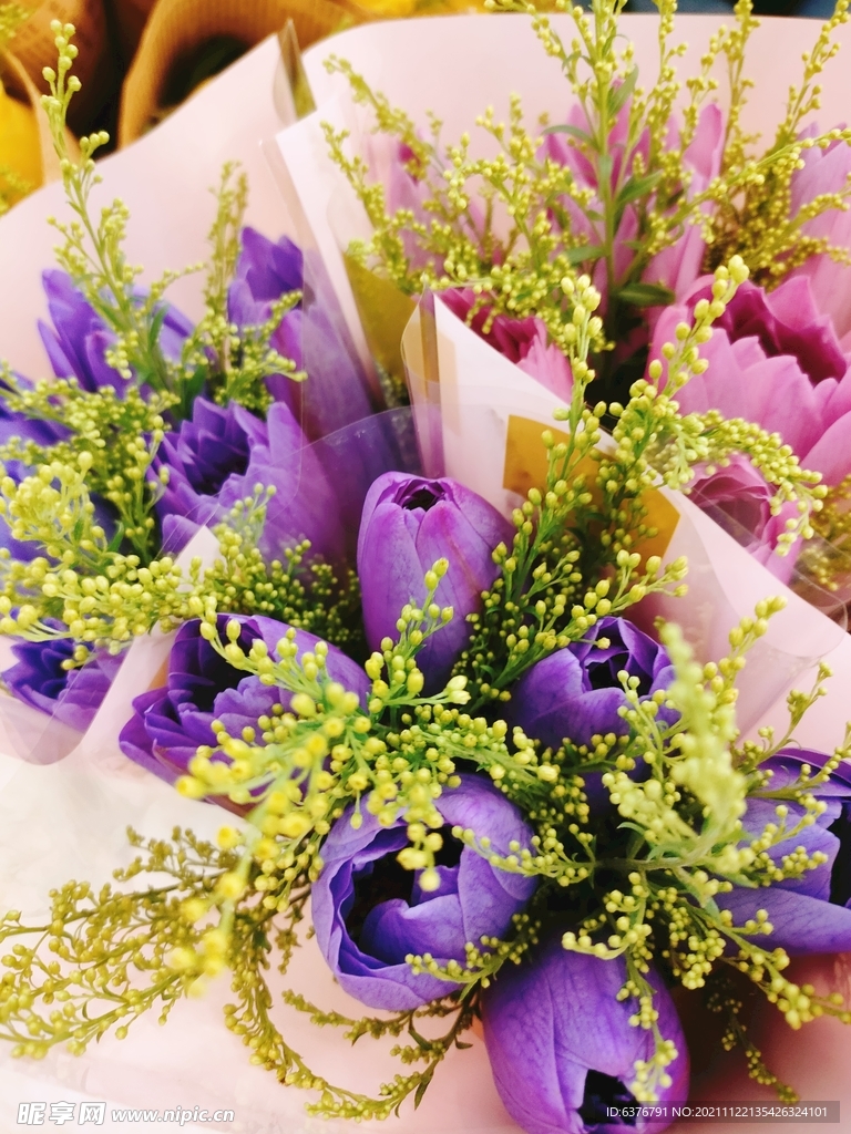 紫睡莲 绿色小花 花束 花朵