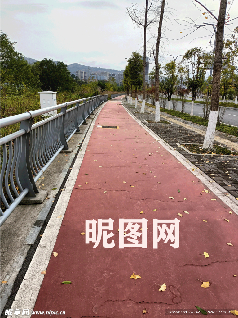 馬路