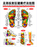 足部健康疗法挂图