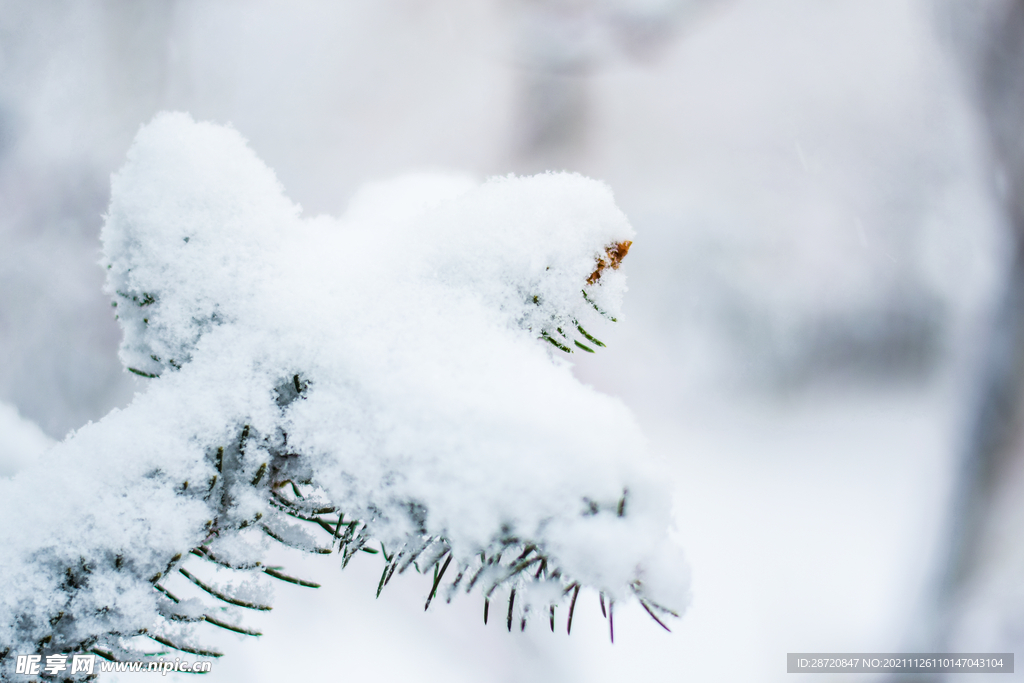 雪景
