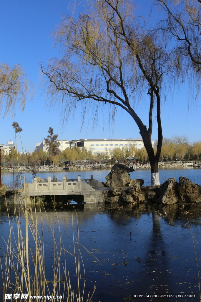 龍?zhí)段骱L(fēng)景