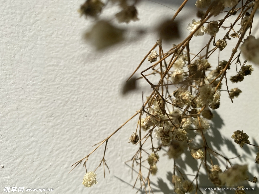 干花