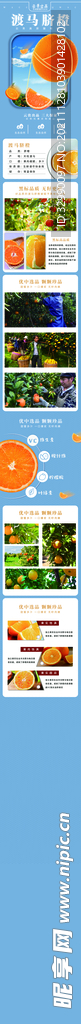 橙子詳情頁