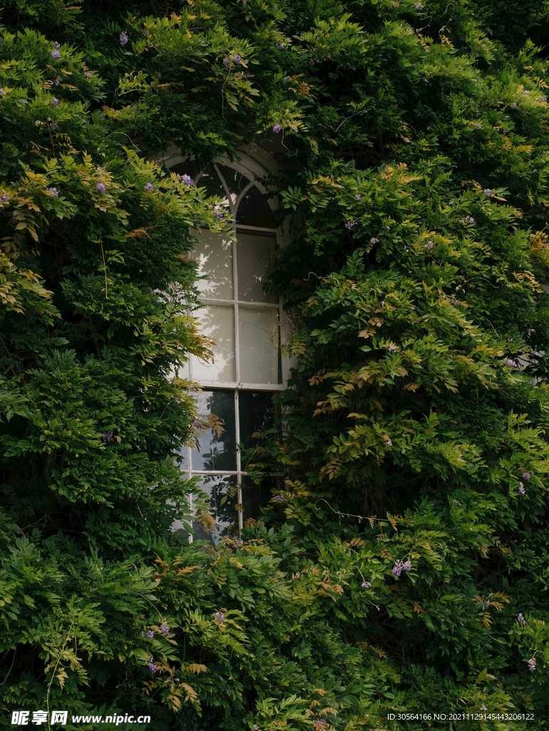綠植包圍的城市建筑