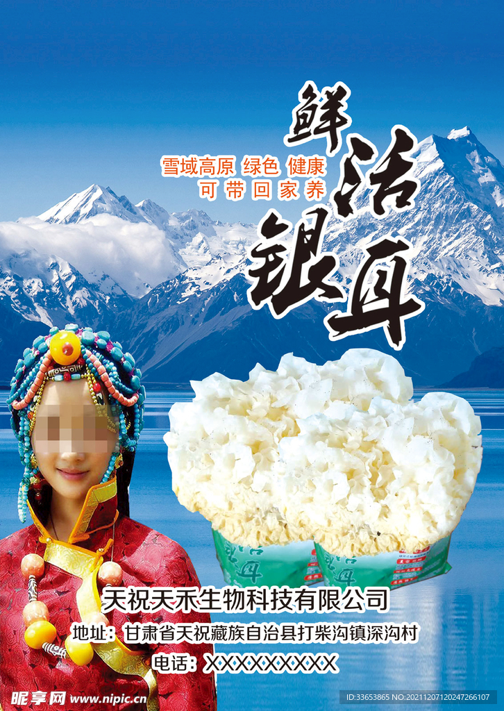 藏族海报