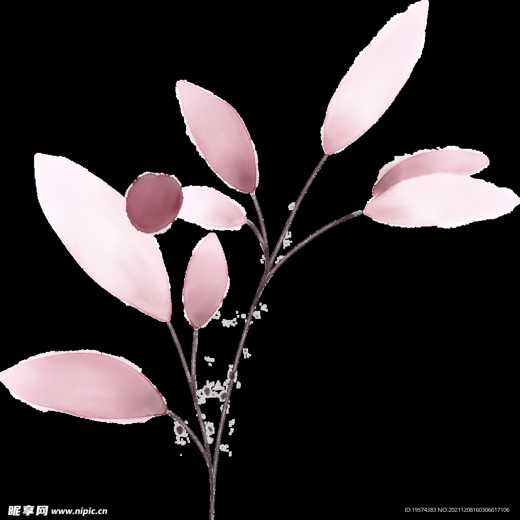 粉色花型葉子植物