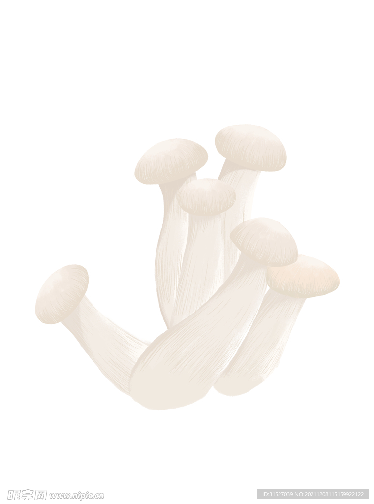 白色蘑菇金针菇插画