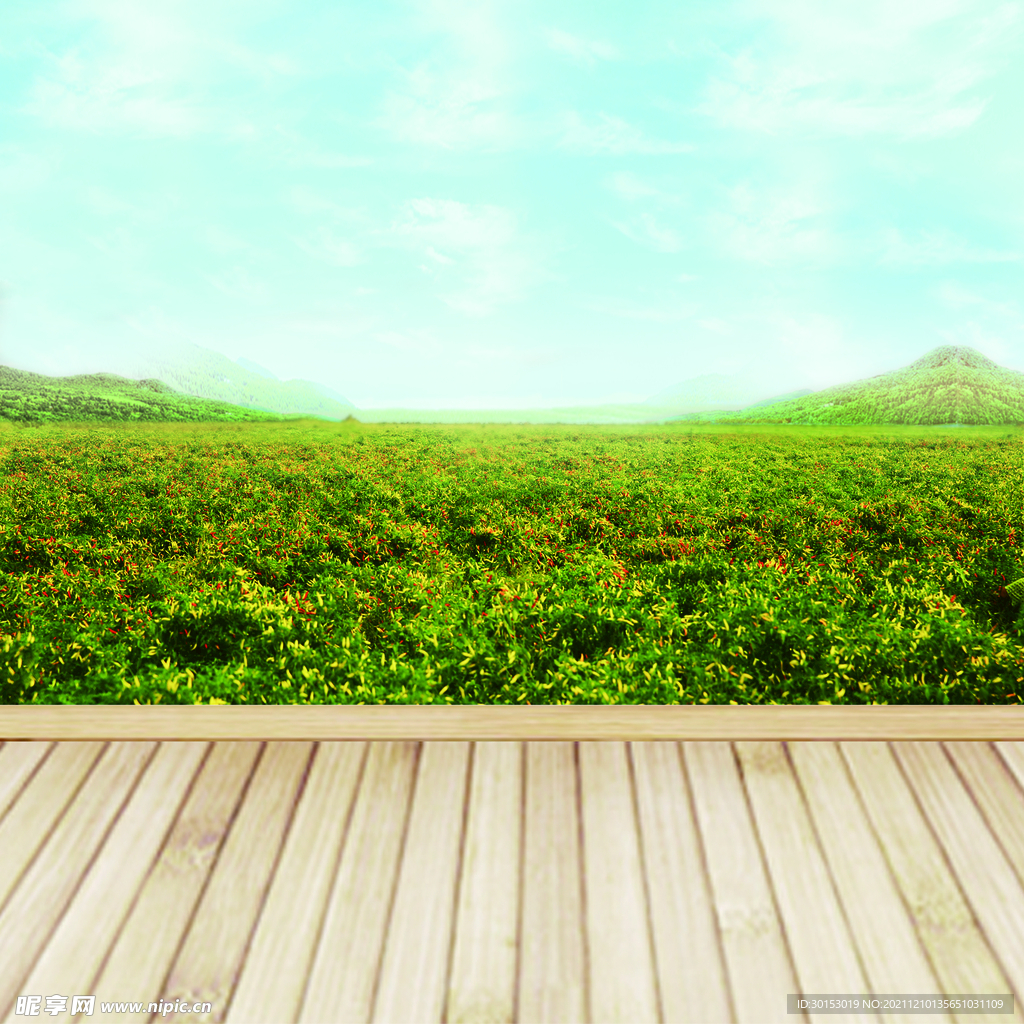 風(fēng)景