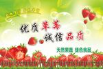 绿色营养草莓海报