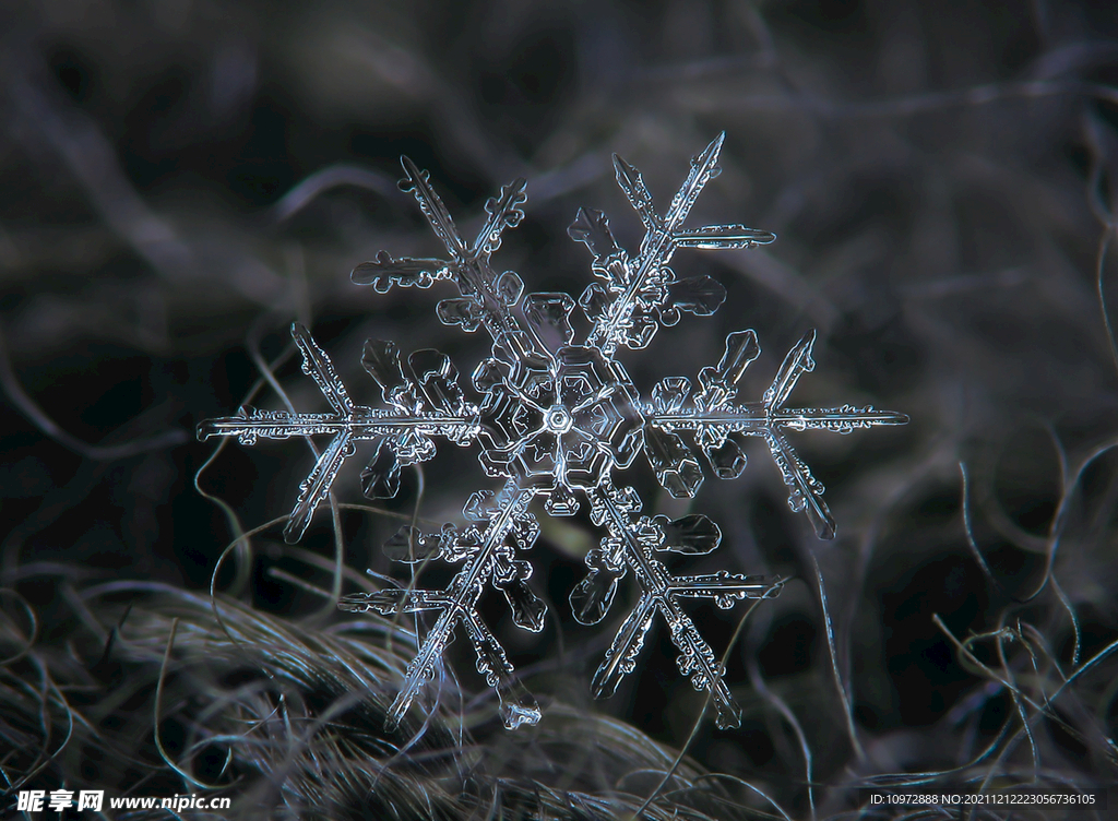 冬季 雪花 結晶 雪白色 下雪