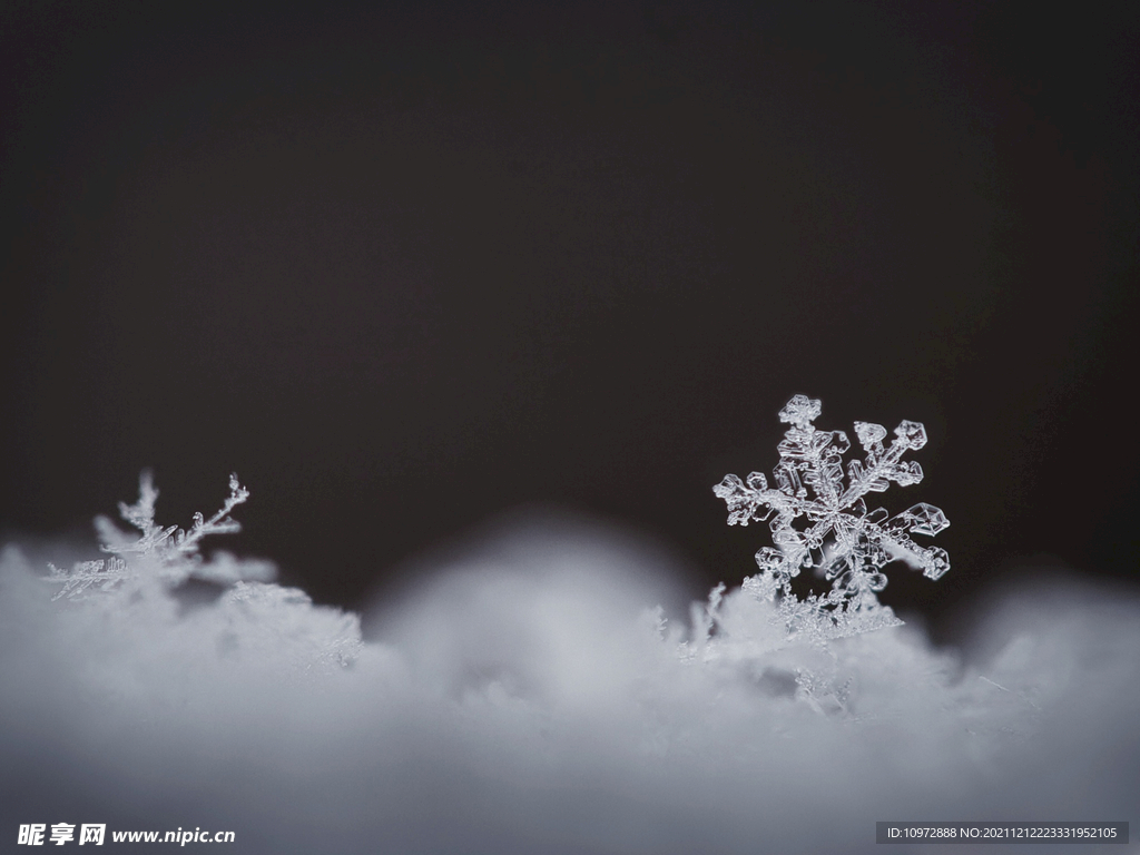 冬季 雪花 結(jié)晶 雪白色 下雪