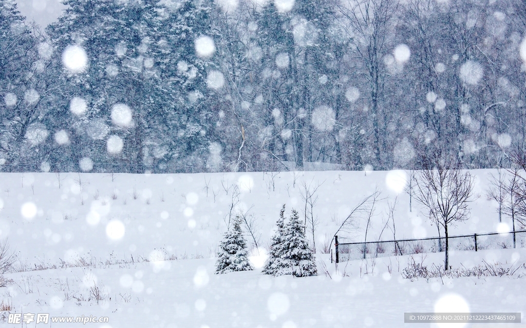 冬季 雪花 結晶 雪白色 下雪