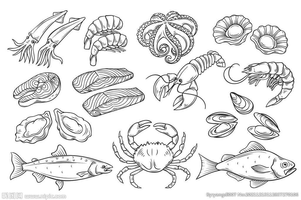 手绘海鲜食材速写插画