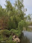 風景