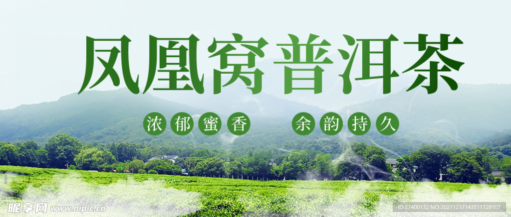 普洱茶banner