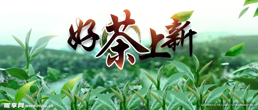 茶叶上新banner