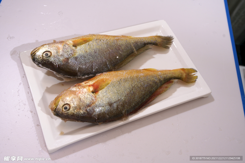 黃花魚 