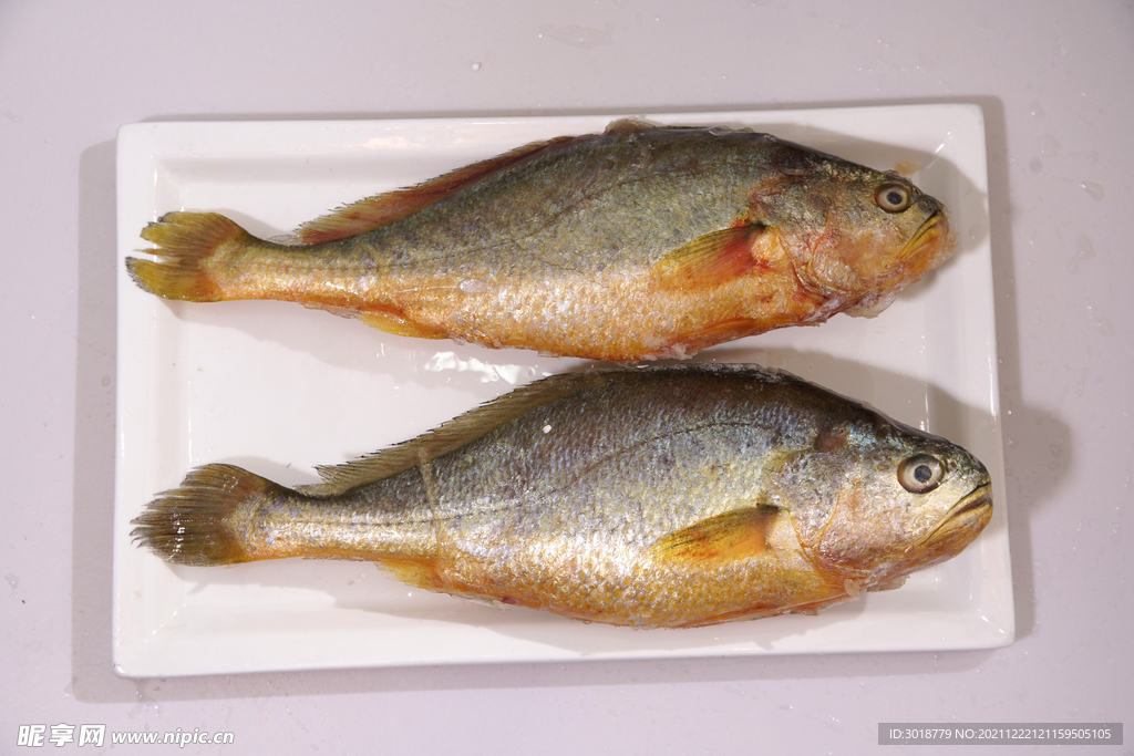 黃花魚