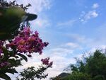 天空   白云