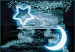 星空 婚禮主現場效果圖