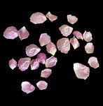 花瓣粉色装饰素材