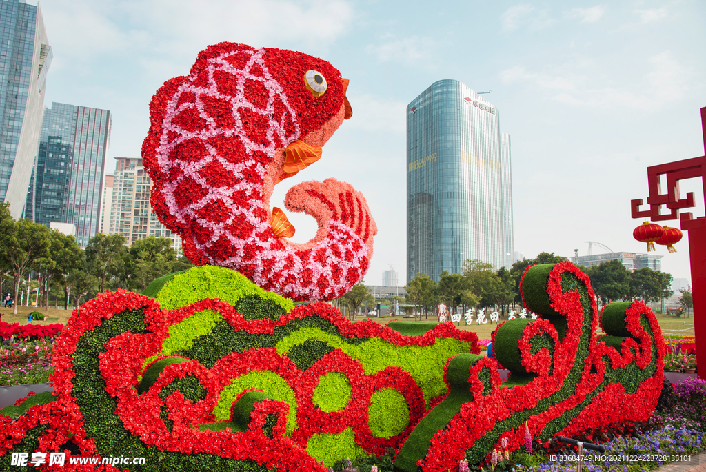 深圳寶安區(qū)迎春花市