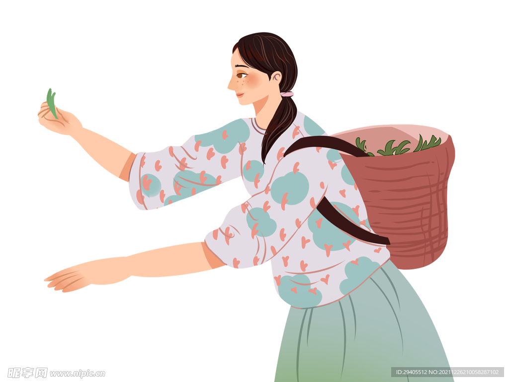 采茶女