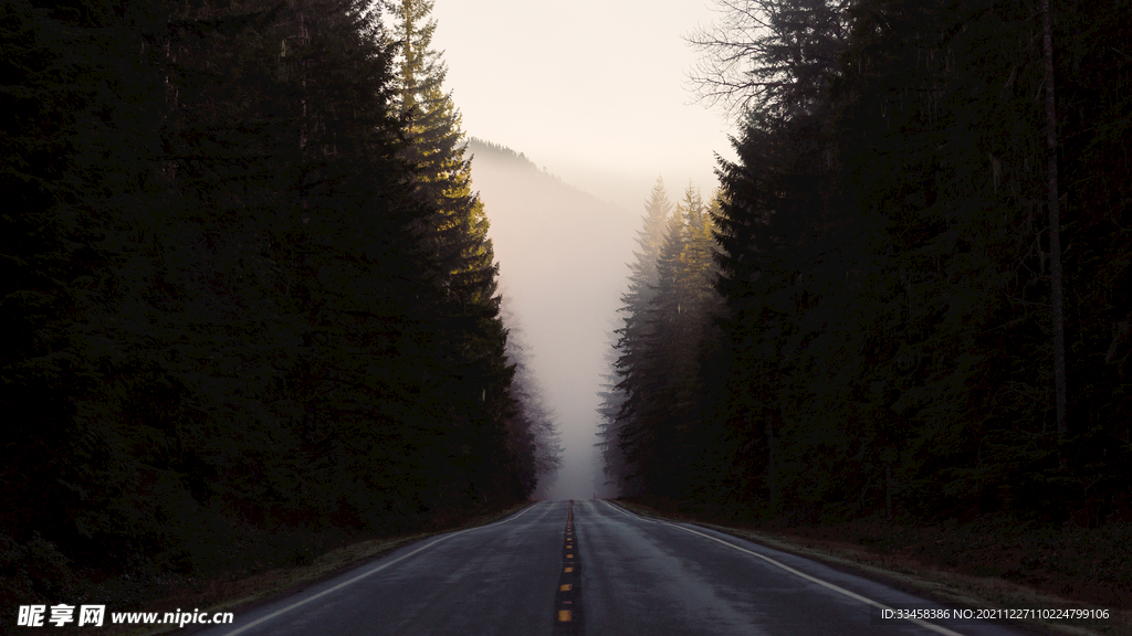 道路 森林 自然風(fēng)景4K壁紙