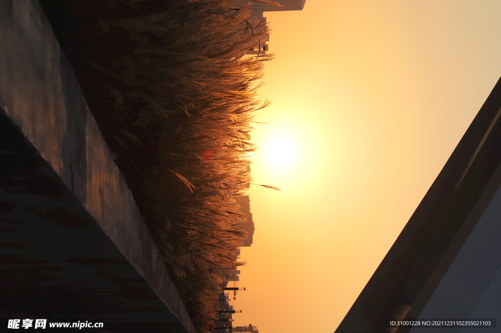 夕陽