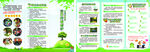 生态环境保护折页绿色园林健康