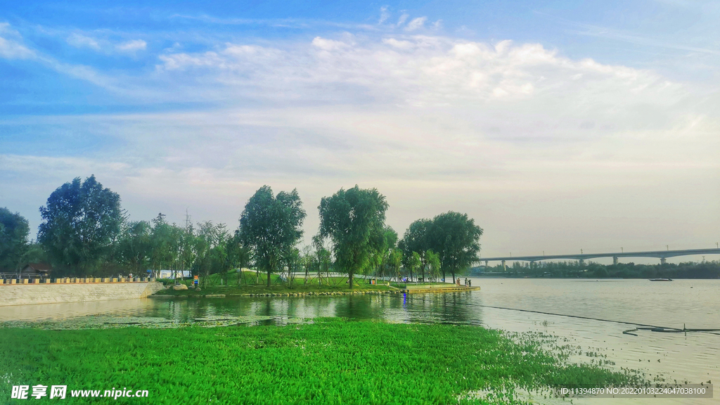 黄河湿地公园 